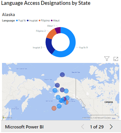 Power BI Language Access screenshot