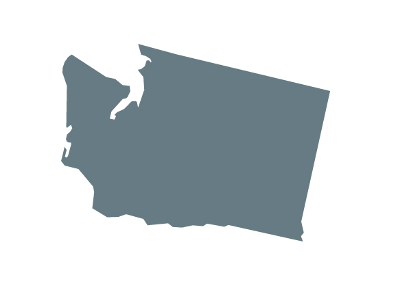 washington_shape